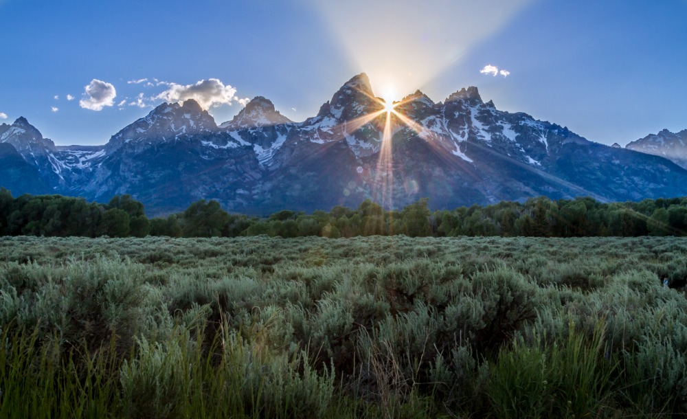 Jackson Hole Area Information